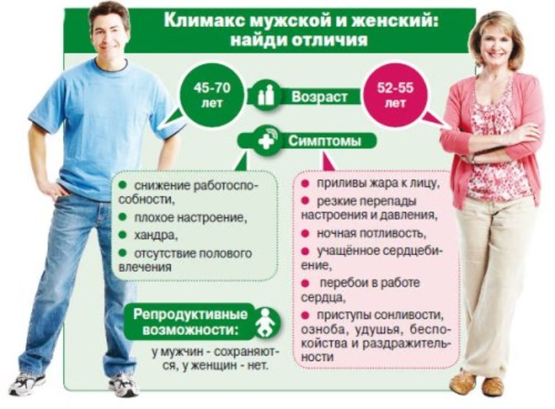 Женские гормоны | lemur59.ru